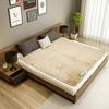 220V 50Hz Thermostat Electric Blanket Body Warmer Bed Mattress Heated Carpet Mat Waterproof Automatic Electric Heating Pad
