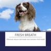 Pet Oral Care Spray Freshens Pet Breath  Cleans Plaque And Yellow Teeth.100ml
