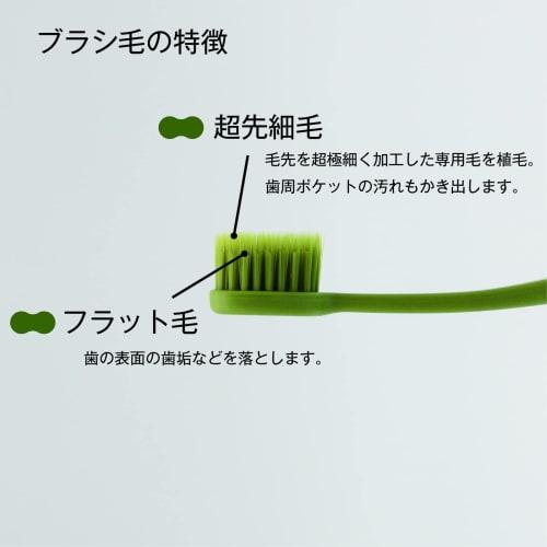 A toothbrush that easily cleans even the backs of your molars | Perforated design promotes drying and hygiene [Good Design Award Winner] Regular, 4-Pi