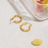 Design Sense Classic Style 18K Gold Steel Flat Chain Hollow Earrings Simple Earrings