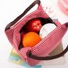 Womens Stripe Thermal Lunch Box Cooler Bag Insulated Picnic Handbag Food Bag