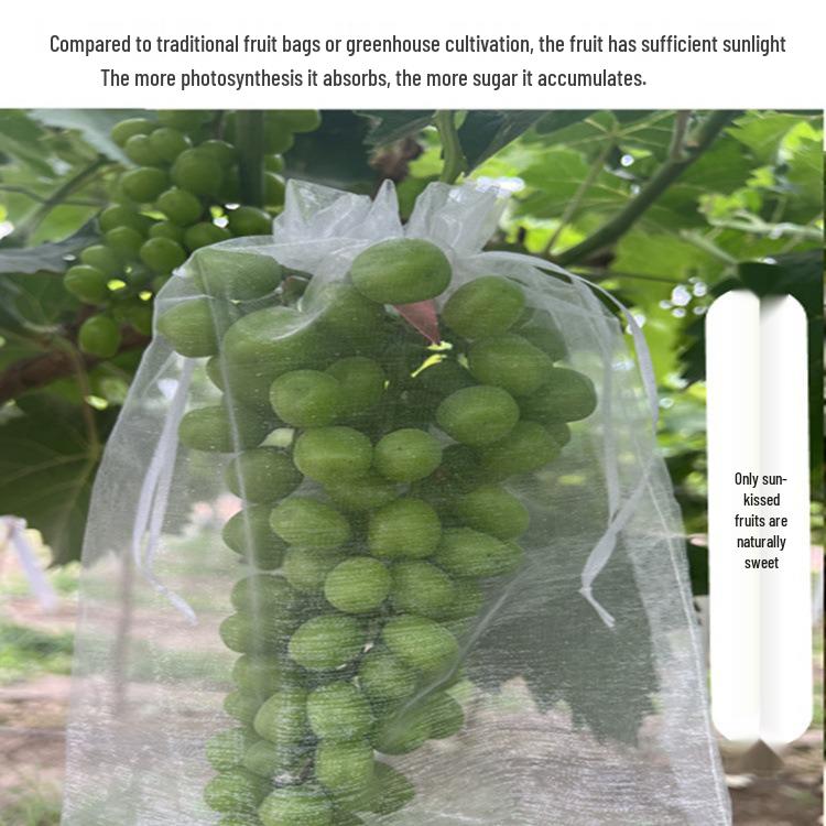 Fruit Tree Bagging: Insect & Bird Proof Mesh Covers for Strawberries, Figs, Pomegranates, Grapes, and Tomatoes