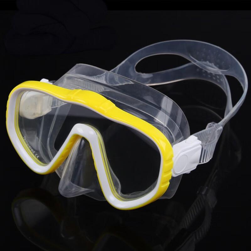 Alliance Messenger Full Dry Wide Angle Adult Diving & Snorkeling Mask