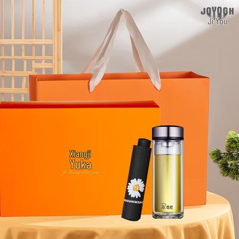 JOYOGH Double-Layer Glass Tea Infuser Bottle Gift Set