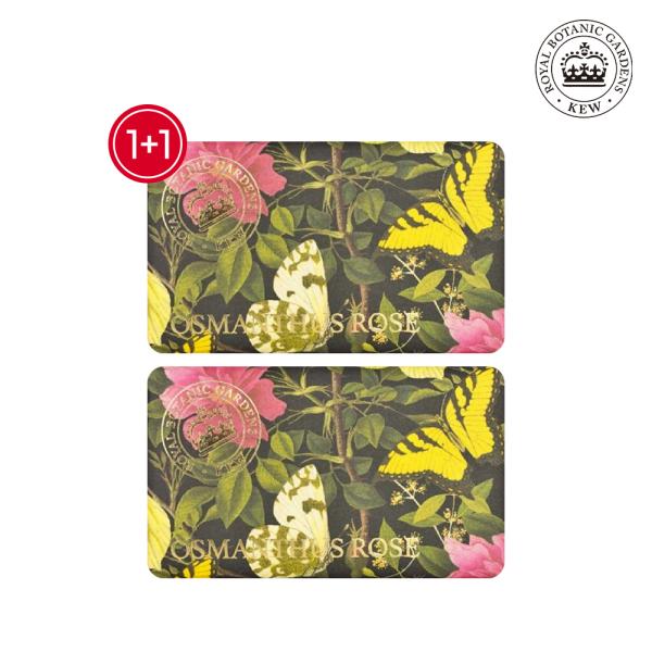 

Osmanthus Rose Diffuser Soap 240g (2-pack) Paraben-Free