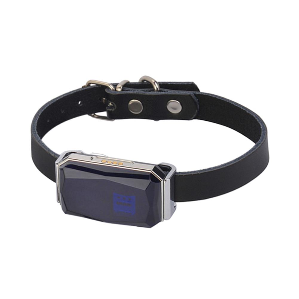 G12 GPS Location Tracker Wearable Smart Collar Pet Tracking Locator Waterproof IP67 Anti-lost Record Multifunctional for Cat Dog