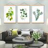 Green Plant Leaves Decorative Painting Scroll Photo Picture with Solid Wood Magnet Poster Clip