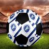 TAGLIA 5 Pallone da Calcio Millwall FC Colorato Per Tutte le Età Cucito a Macchina PVC Pronto per la Competizione Resistente Ad Alto Rimbalzo