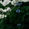 Japanese Wind Chime Dragonfly Traditional Windbell Metal Windchime Wind Bell for Door Yard Farmhouse Home Decor Decoration