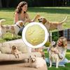 1PC Bouncy Ball Dogs Interactive Toys Dog Pet Teeth Cleaning Chew Training Toys Bite Resistance Squeaky Dog Ball Toy Pet Supplie