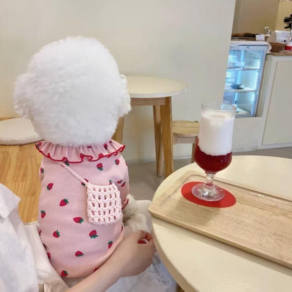 Maglietta Base Fragola per Animali Domestici, Orsetto Fon Barboncino, Vestiti per Cani Piccoli, Gatto Gattino Nuovi Vestiti Primavera e Autunno