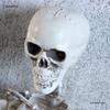 Halloween Hanging Skeleton Ghost: Scary Haunted House Prop