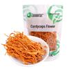 Guangwang Rongxin Lushi County Cordyceps Flower