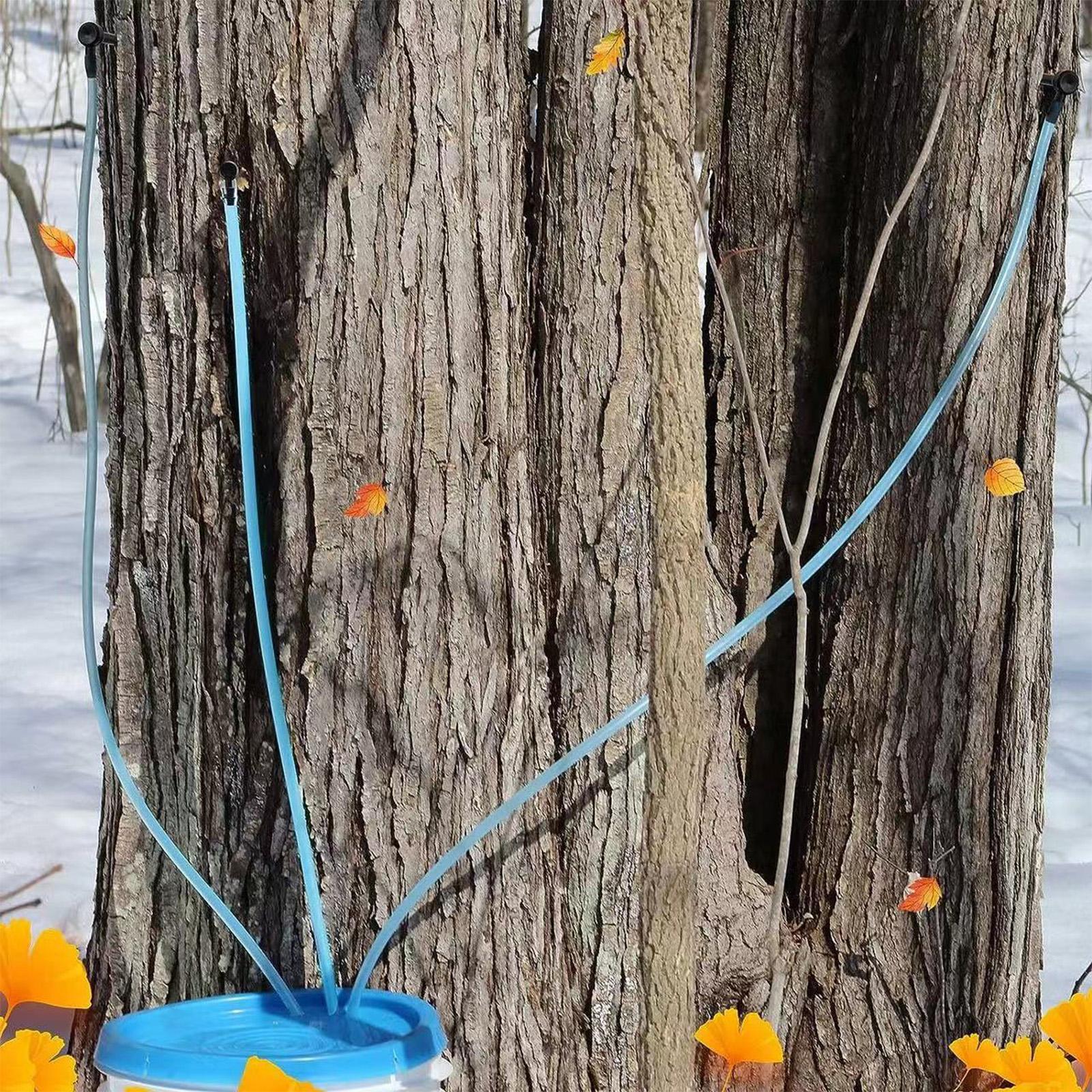 

Maple Tapping Kit Reusable Non-Slip Food Grade 12-Piece Syrup Collection Extractor Tubes For Outdoor Backyard Garden School Home China Mainland