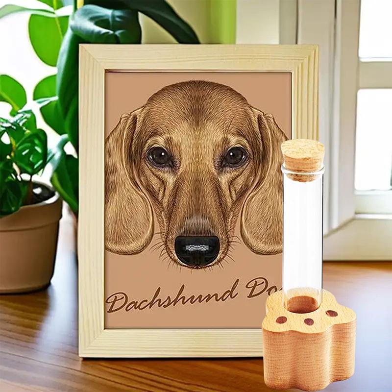 Cat Whisker Jar Mini Glass Vase For Whiskers Cat Whisker Holder Elegant Memorial Gift For Pet Lovers