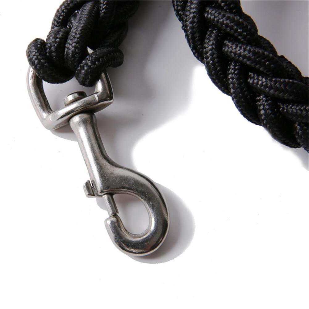 thick braided dog leash