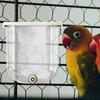 Bebedouro de Gaiola para Pássaros Pin-Touch Montado na Parede Bebedouro para Pássaros Dispensador de Água Durável para Papagaios Periquito