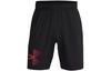Sports Shorts Men's Black Moderate 1377139-001
