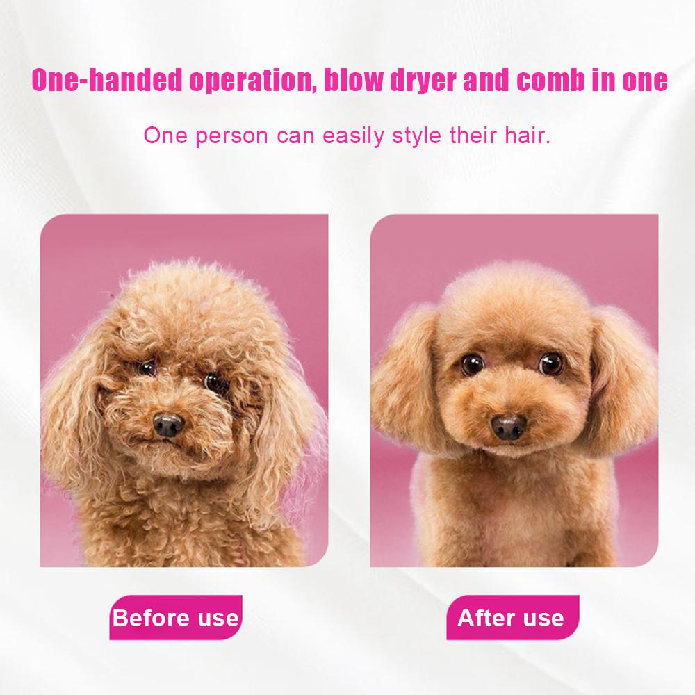 Pet Hair Dryer Soft Grooming Integrated Small Medium-Sized Cats Dogs Water Dryer Blow Dry Styling All-in-One Machine