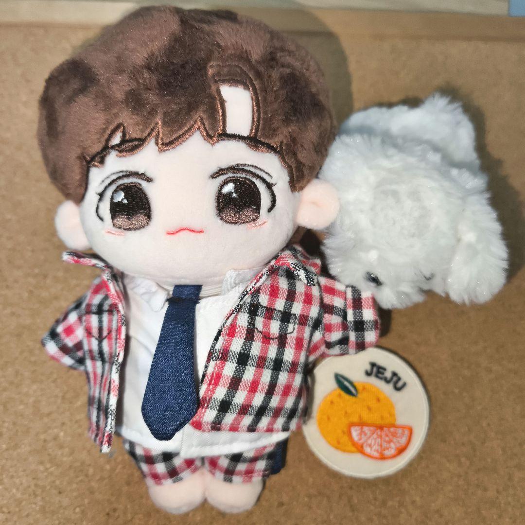 

[USED] Seungkwan 20cm Plush Toy