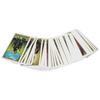 Party Interaction Paper Tarot Cards Divination Playing Cards Stress Relieve Board Game Card