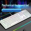 RGB Mechanical Gaming Keyboard with Blue Switches and Mouse Combo