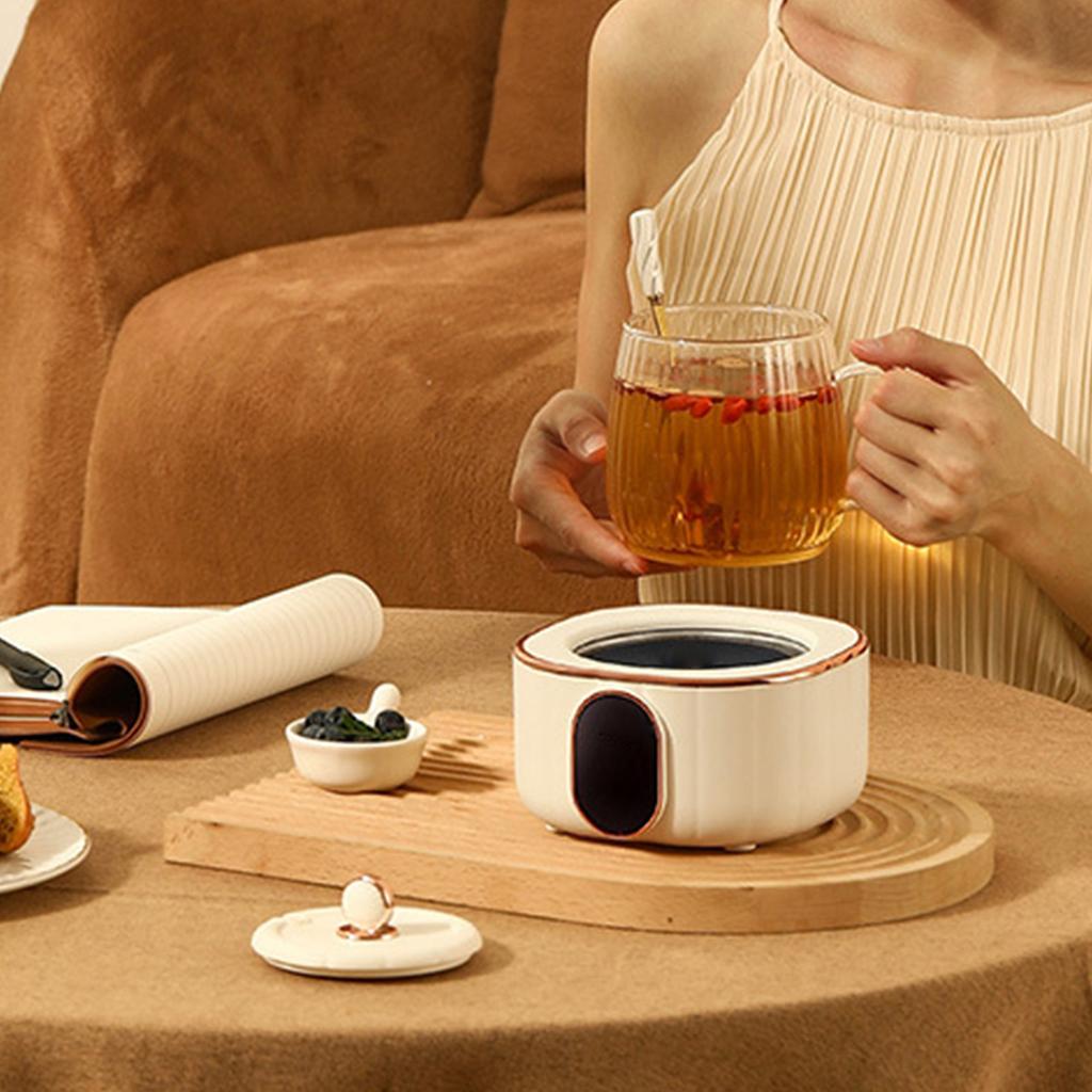 Electric Stew Cup Multifunctional Heating Tea Kettle Glass Hot Water Kettle for Home and Office 220V Electric Stew Cup