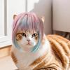 Long Hair Blue Pink Wig Colorful Dog Headwear Universal Dog Cat Costume Wig  Party Dress Up
