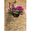 Ambassador Willow Hanging Basket