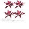 Large Realistic Artificial Fern Dragon's Blood Tree Plants, UV Resistant Fake Ferns with Pink Purple Leaves for Outdoor Garden, Patio, Wedding,
