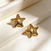 High-End Gold Star Stainless Steel Earrings