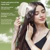 Electric Spray Air Cushions Massage Comb 3 In 1 Self Cleaning Steam Essential Oil Brush Rechargeable Spray Scalp Massager Combs