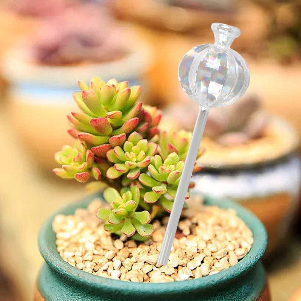 Glass Cactus Self Watering Planter Automatic Plant Water Feeder Glass Bulbs New Year Gift