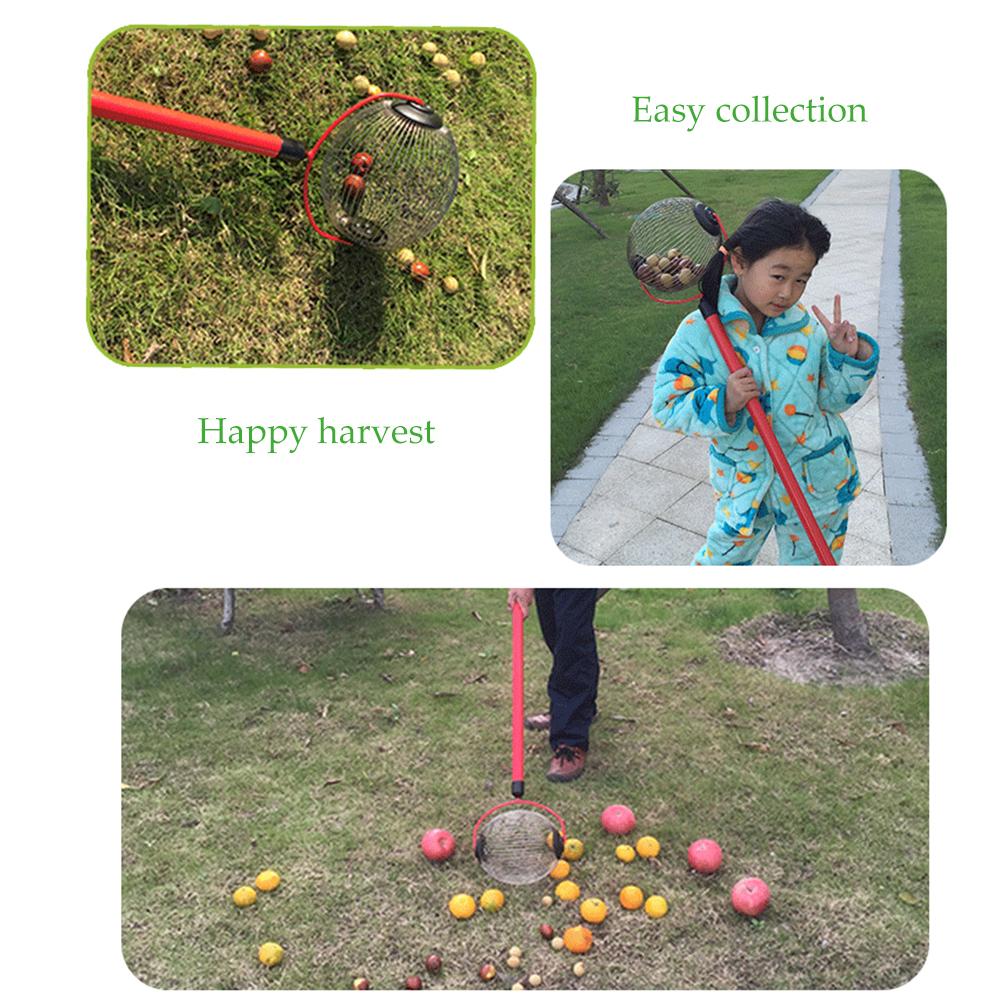 Nut Gatherer Adjustable Lightweight Rolling Nut Picker Collector for Lawn Garden