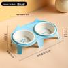 Ceramic Double Cat Bowl with Elevated Slanted Design for Cervical Protection - Ideal for Food and Water