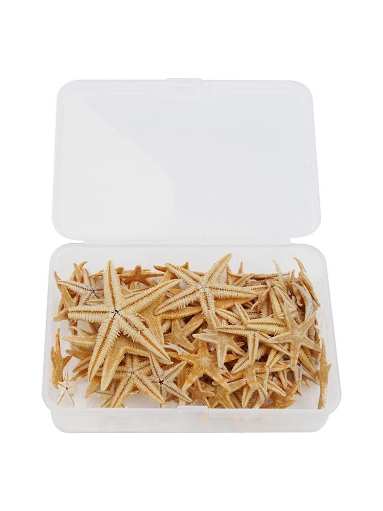 

Аквариум с морской звездой Микро Пейзаж Аквариум с рыбой Мульти 100pcs（1-5cm）