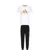 Taekwondo Round Neck Pullover Simple Short Sleeve T-Shirt Striped Fashion Long Pants Casual Sports Suit Unisex Suit ADICLTS24TK-WG+TR30P1T-BG