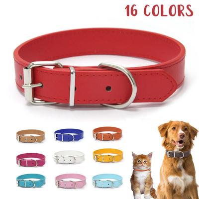 Köpek – Köpek Tasmaları ve Tasma Kayışları