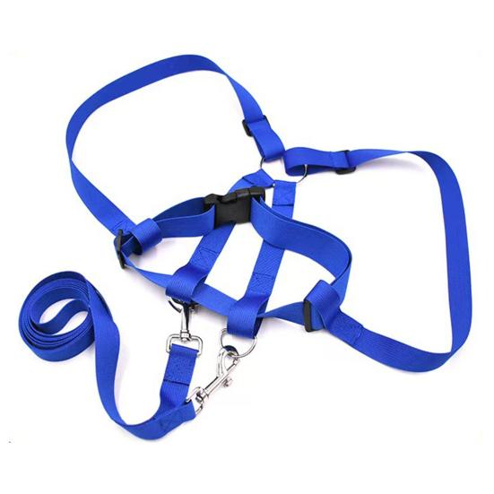 Ayarlanabilir Çocuk At Binme Oyunları İçin Oyun Tasması Metal Tokalı Aşınmaya Dayanıklı Emniyet Tasması Erkek Kız Çocuklar İçin Rol Yapma Kostüm Aksesuarı