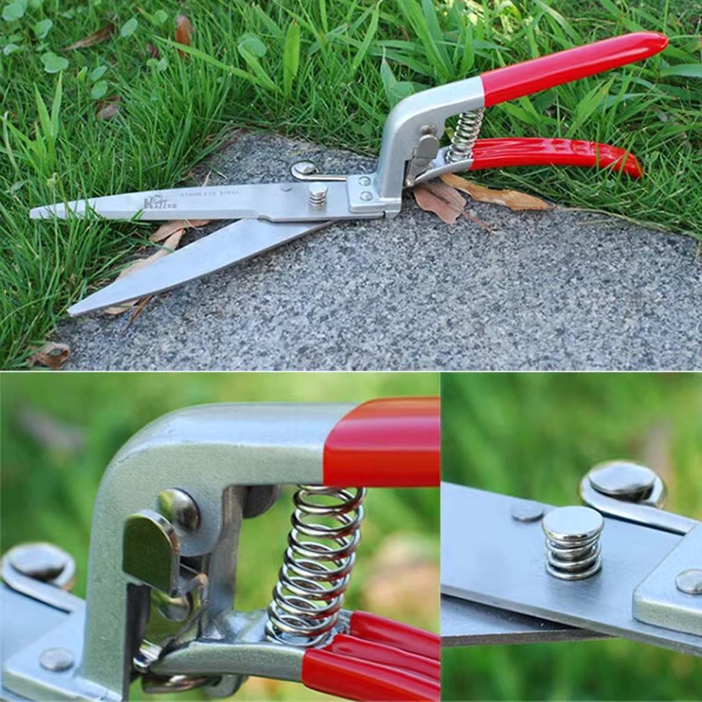 Professional Stainless Steel Gardening Scissors, Household Lawn Flowers Leaves Trimming Shears