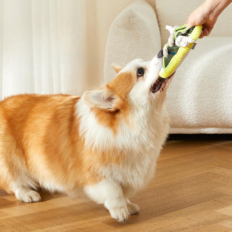 Pet Chewing Toy Dog Teeth Grinding Bite Resistant Squeak Toy Shoe Shape Puppy Chew Toy With Cotton Rope Pet Toy Supplies