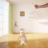 Funny Cat Kitten Pet Play Toy Teaser Feather Wire Chaser Wand Beads