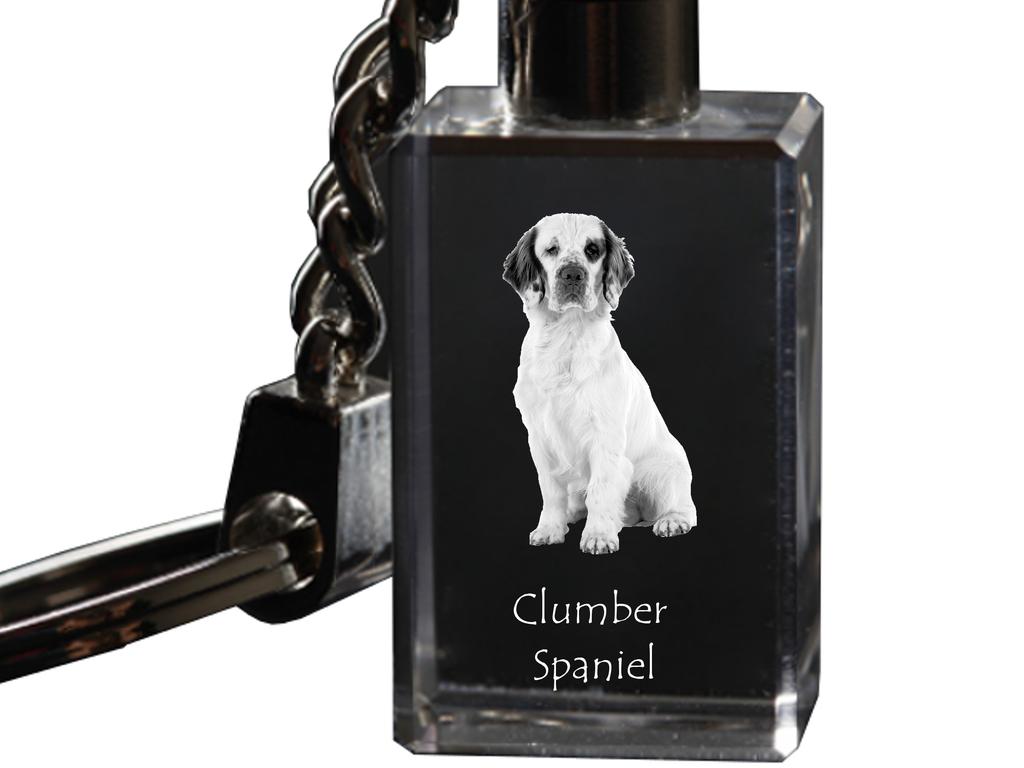 Clumber Spaniel - Crystal Key Ring with Dog Photo, Illuminated Key Ring, Unique Gift by Art-Dog Brand