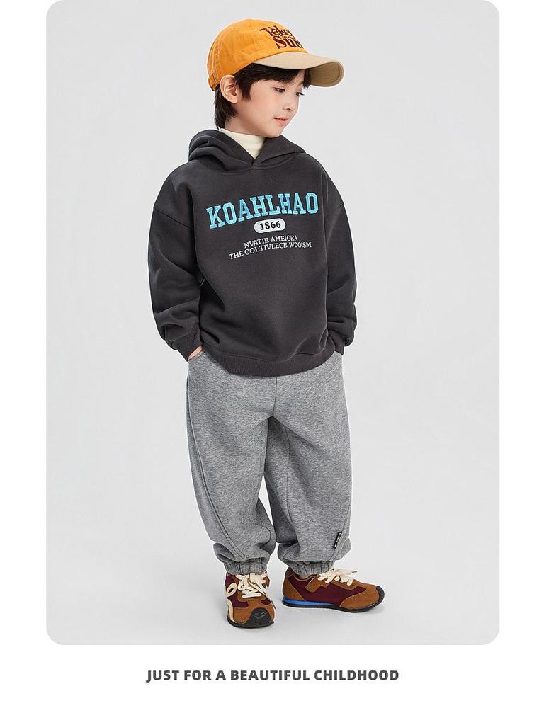 Boys' Fleece-Lined Hooded Sweatshirt - Winter 2025 Style, Thickened for Medium and Large Children
