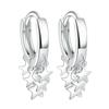 Jingdong Star-Shaped Earrings: Women's Celebrity Five-Pointed Star Ear Clips & Hoop Earrings.