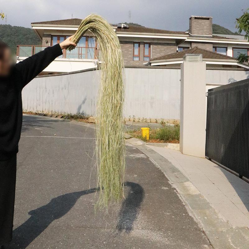 High-End Wabi-Sabi Dried Flower Decor: Natural Reeds & Wheat for Living Room or Homestay.