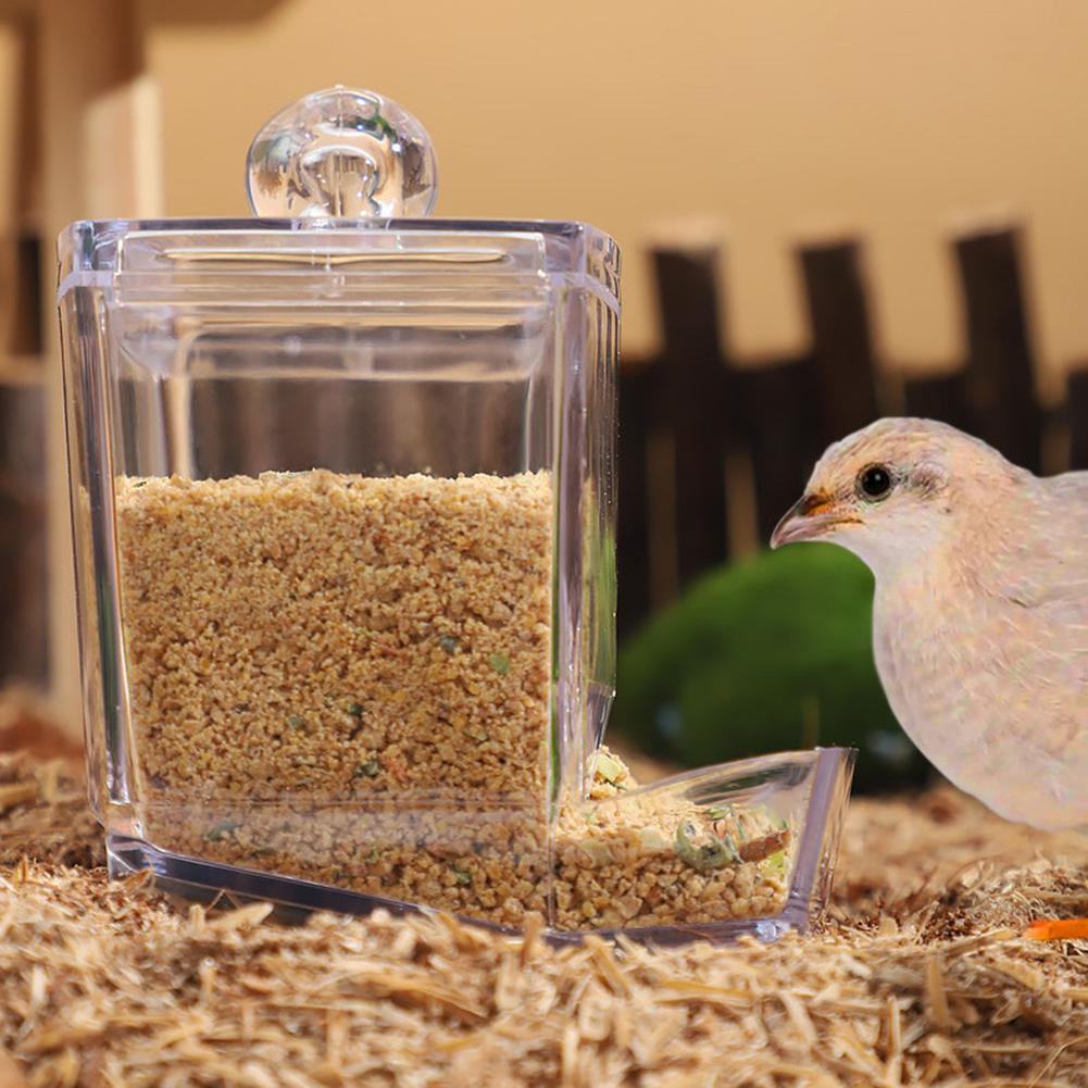 Rutin Chicken Automatic Food Feeder Large Capacity Anti-overturning Food Box Small Animal Feeding Supplies