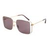 Coach Original Design Comfortable Elegant Alloy Square Sunglasses Unisex Sunglasses Gold 0HC7174D-94417N