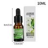 10ml Fragrance Essential Oil for Aroma Diffusers Air Freshening  Aromatherapy Oil For Making Scented CandlesMassage Sleep