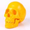 Resin Craft Skull Statues for Decoration Creative Skull Model Sculpture Home Decoration Halloween Party Decor Horror Props